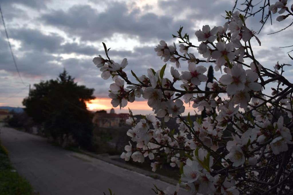 O Palaios Fournos Tou Andrea Apartment Kardhakata ภายนอก รูปภาพ